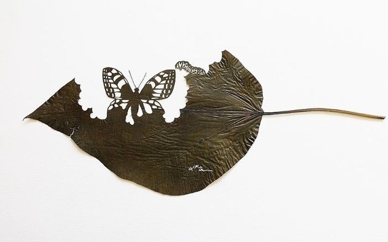 Leaf Art by Lorenzo M. Durán