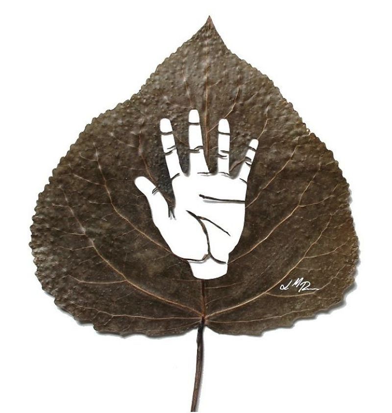 Leaf Art by Lorenzo M. Durán