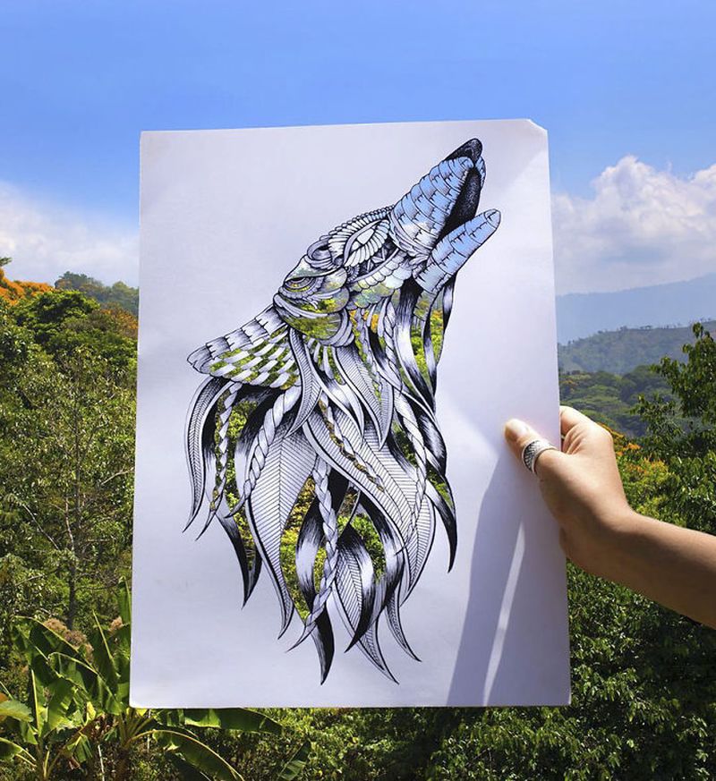 intricate-animal-drawings-faye-halliday