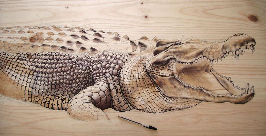nature-inspired drawings on recycled wood by Martina Billi
