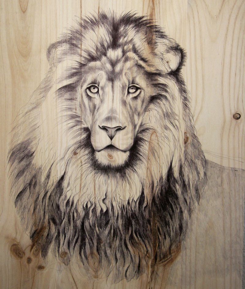 nature-inspired drawings on recycled wood by Martina Billi