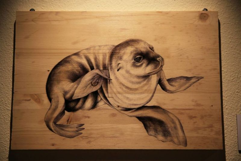 nature-inspired drawings on recycled wood by Martina Billi