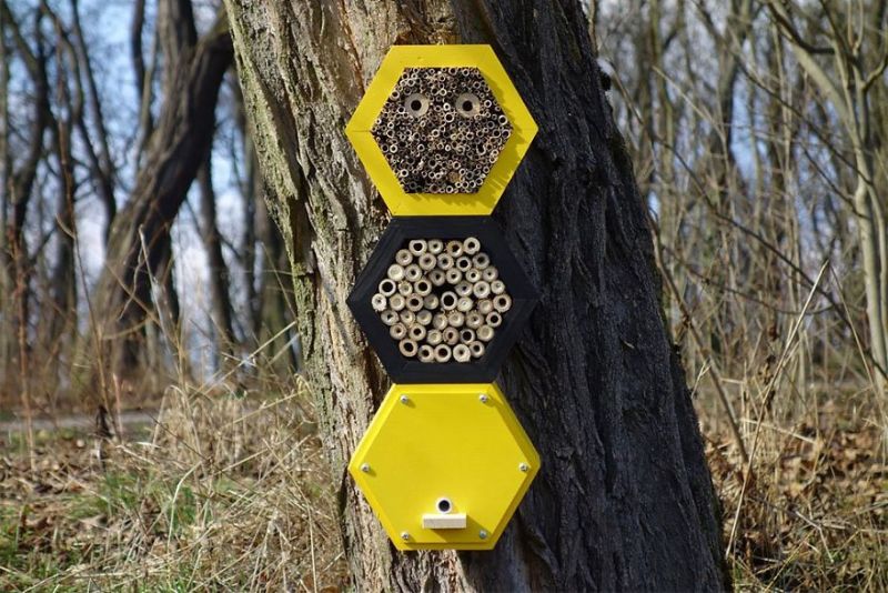 Boleslav Daska creates bee hotels