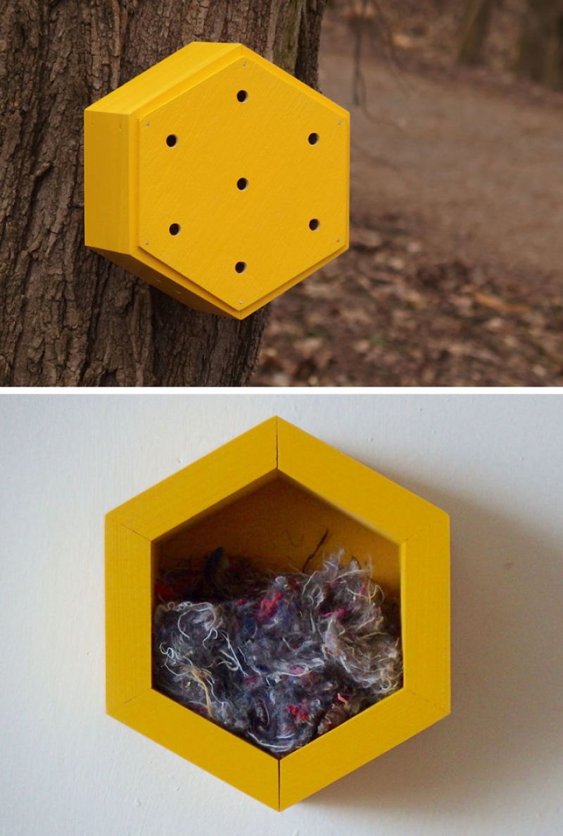 Boleslav Daska creates bee hotels