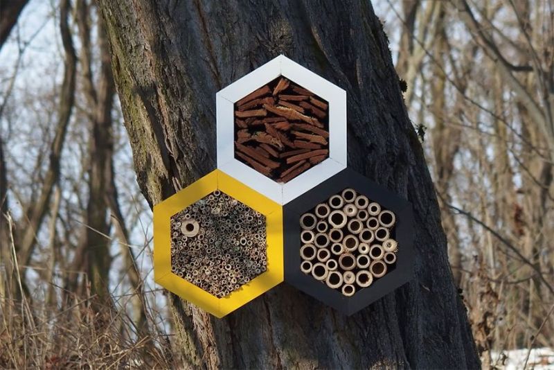 Boleslav Daska creates bee hotels