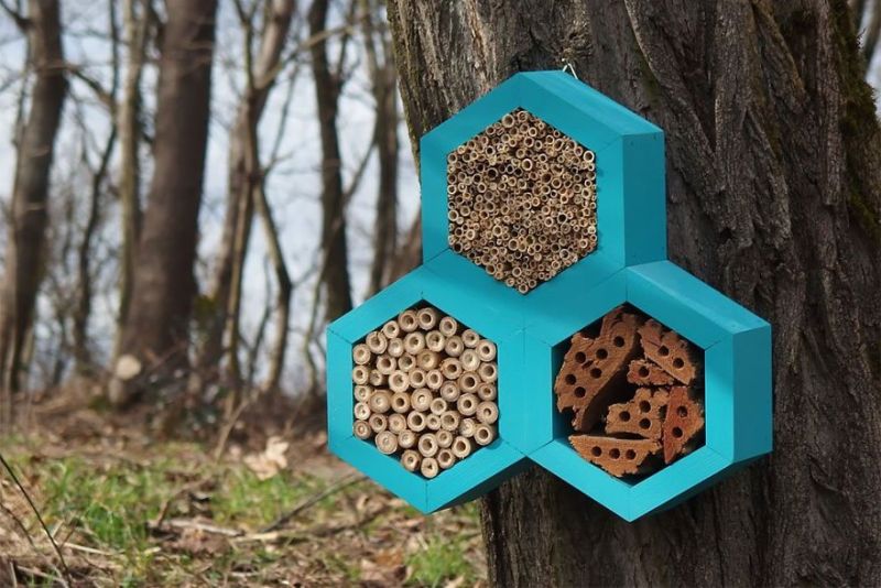 Boleslav Daska creates bee hotels