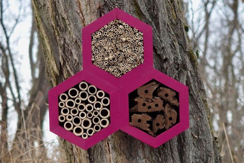 Boleslav Daska creates bee hotels