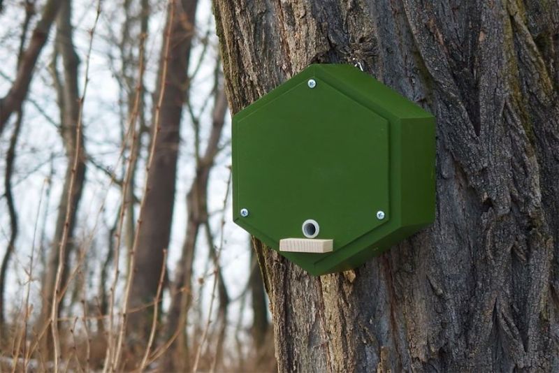 Boleslav Daska creates bee hotels