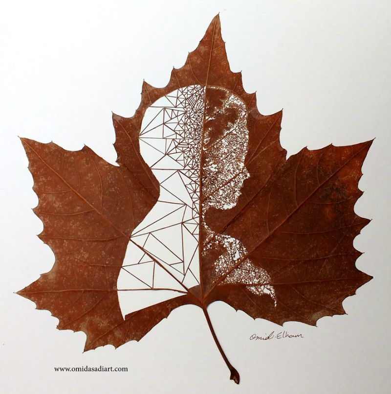 Leaf art by Omid Asadi