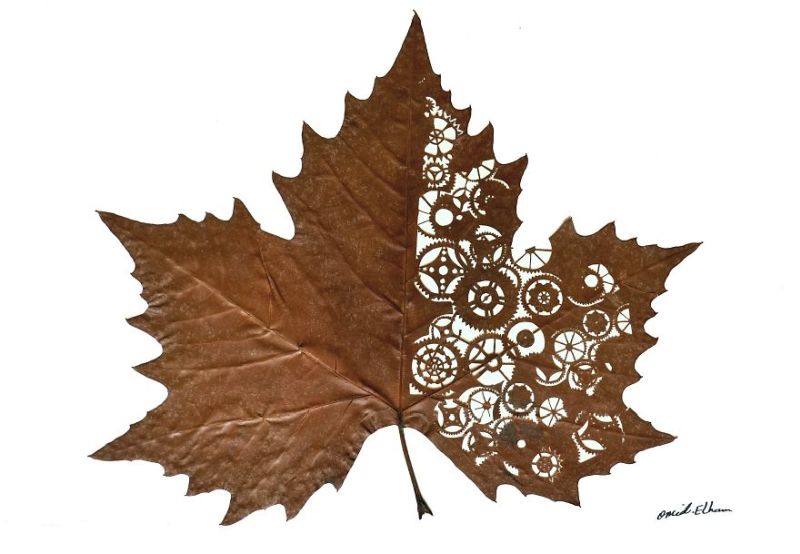 Leaf art by Omid Asadi