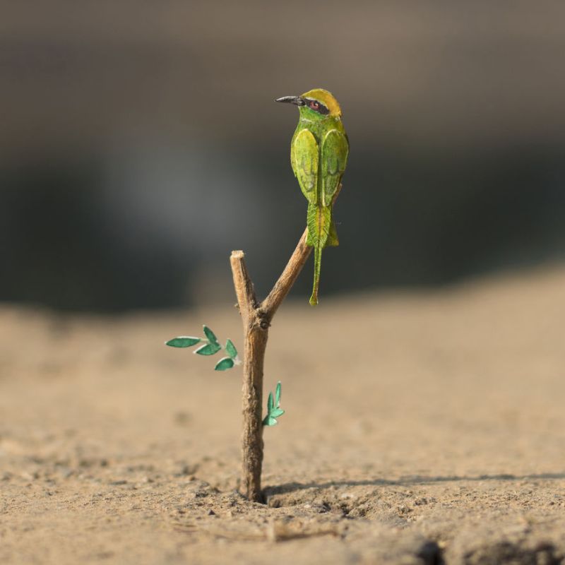 Miniature Paper Birds by NVIllustration