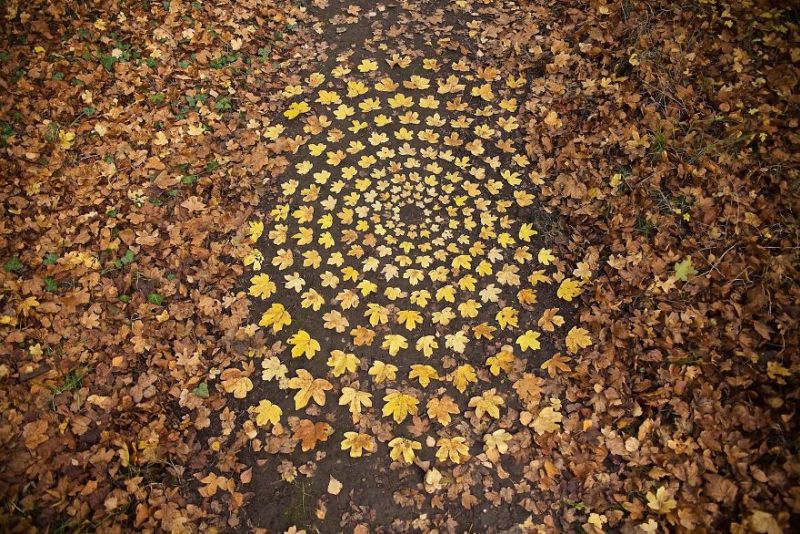 james-brunt-land art using natural materials