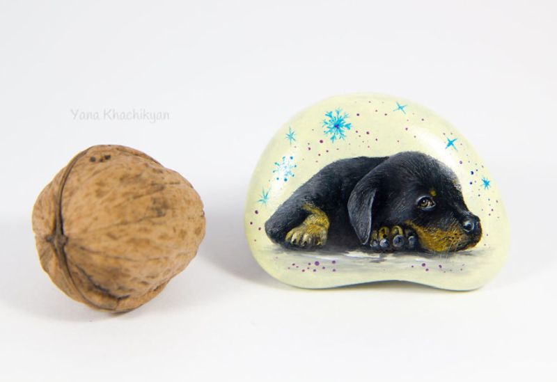 Stone Painting: Ukrainian Artist Paints Realistic Pet Portraits on Rocks