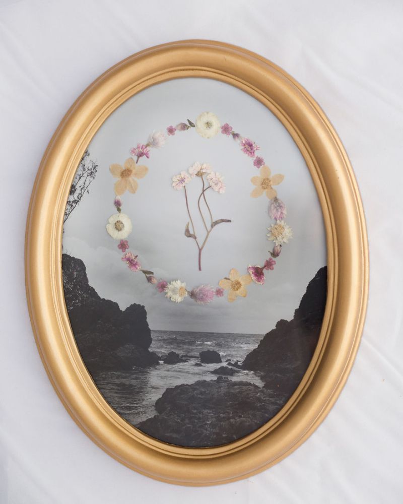 Real Pressed Flower Portraits in Recycled Vintage Frame by Phoebe Hofsteed