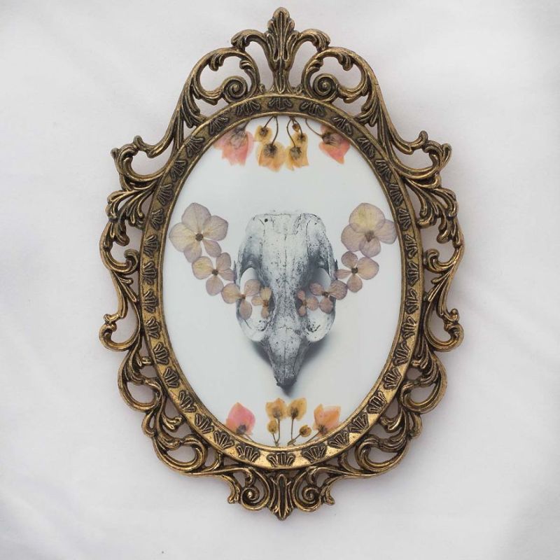 Real Pressed Flower Portraits in Recycled Vintage Frame by Phoebe Hofsteed