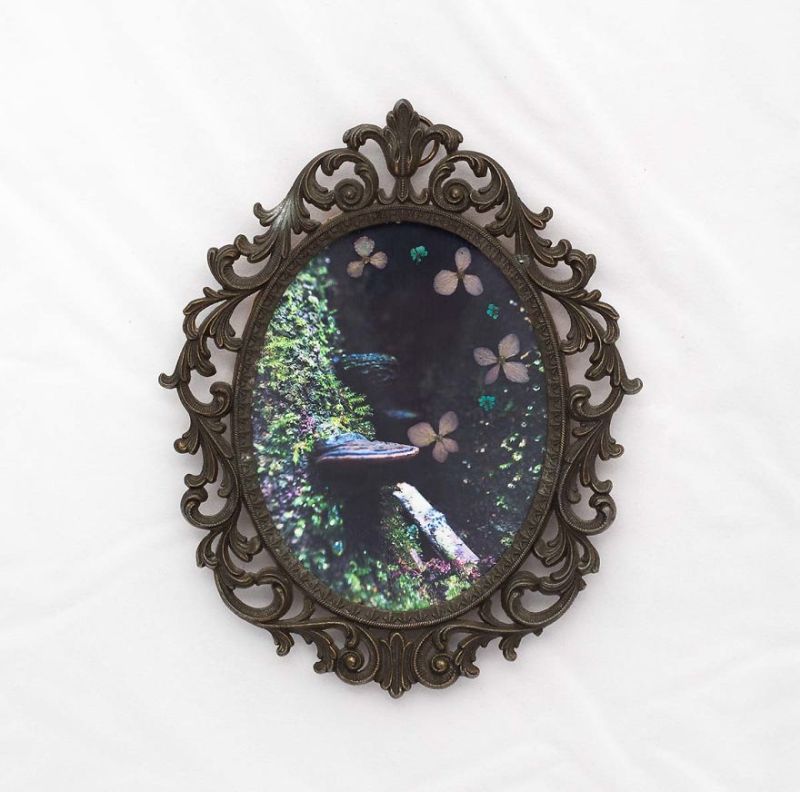 Real Pressed Flower Portraits in Recycled Vintage Frame by Phoebe Hofsteed