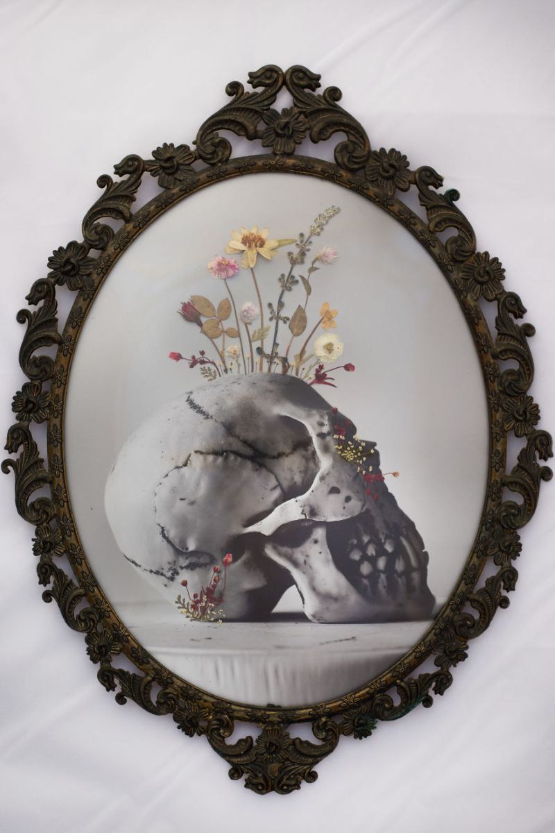 Real Pressed Flower Portraits in Recycled Vintage Frame by Phoebe Hofsteed