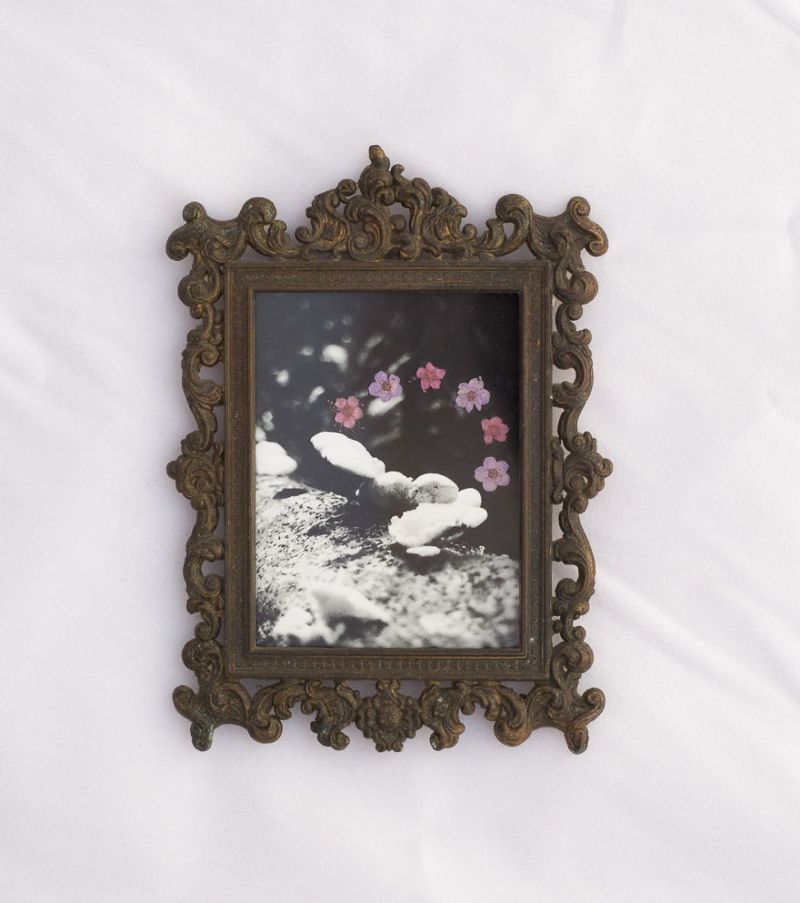 Real Pressed Flower Portraits in Recycled Vintage Frame by Phoebe Hofsteed