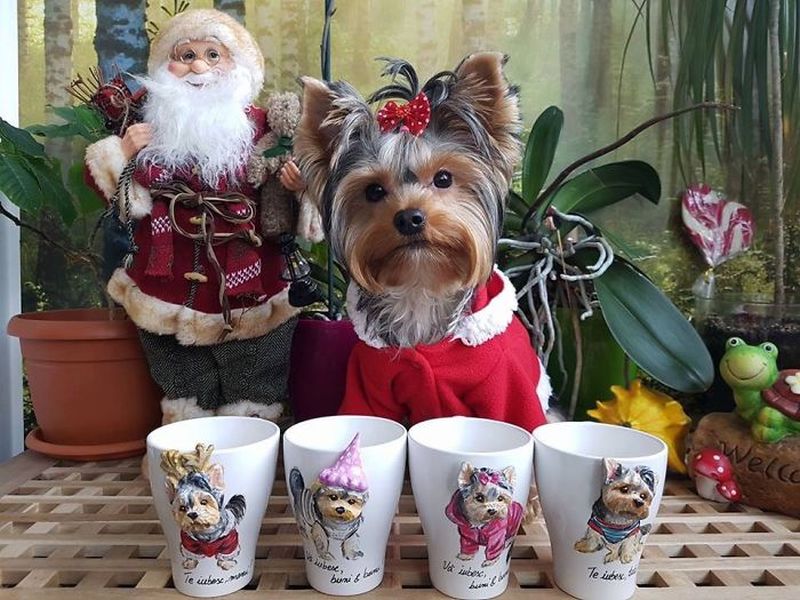 Camelia Rolea Creates Handmade 3D Sculptures of Pets on Mugs